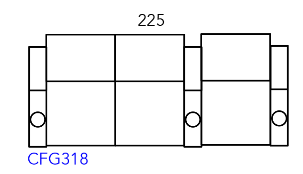 cfg-318